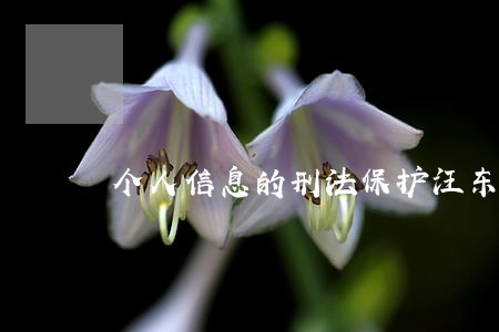 个人信息的刑法保护汪东升著 个人信息的刑法保护汪东升著