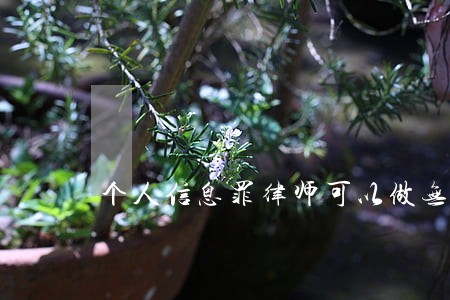 个人信息罪律师可以做无罪辩护吗 个人信息罪律师可以做无罪辩护吗