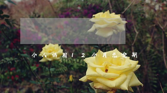 个人信用12个月无逾期 个人信用12个月无逾期