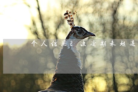个人信用2次逾期未超过60天 个人信用2次逾期未超过60天