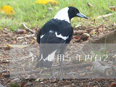 个人信用5年内有2个月逾期 个人信用5年内有2个月逾期