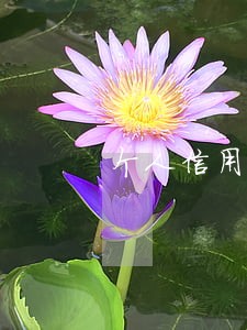 个人信用一共逾期7次怎么办 个人信用一共逾期7次怎么办