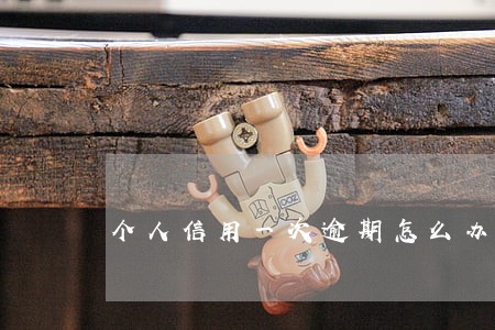 个人信用一次逾期怎么办 个人信用一次逾期怎么办