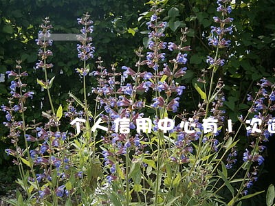 个人信用中心有1次逾期记录 个人信用中心有1次逾期记录