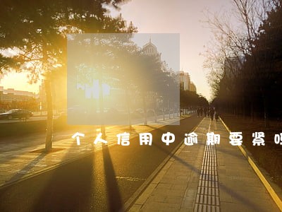 个人信用中逾期要紧吗