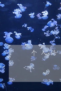 个人信用五年内21次逾期