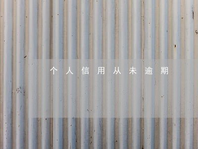 个人信用从未逾期 个人信用从未逾期