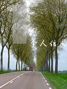 个人信用从未逾期过的账户