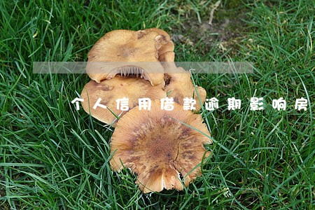 个人信用借款逾期影响房贷么