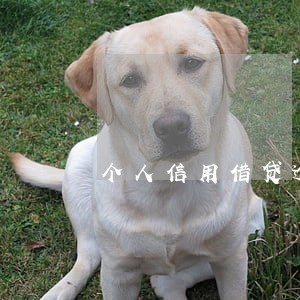 个人信用借贷逾期 个人信用借贷逾期