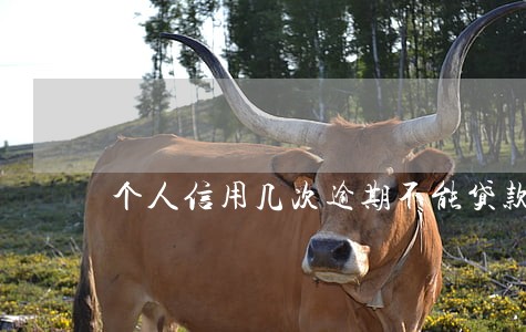 个人信用几次逾期不能贷款买房 个人信用几次逾期不能贷款买房
