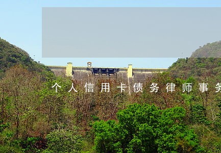 个人信用卡债务律师事务所 个人信用卡债务律师事务所
