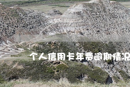 个人信用卡年费逾期情况说明 个人信用卡年费逾期情况说明