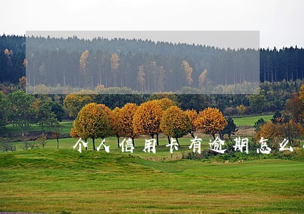 个人信用卡有逾期怎么办贷款 个人信用卡有逾期怎么办贷款