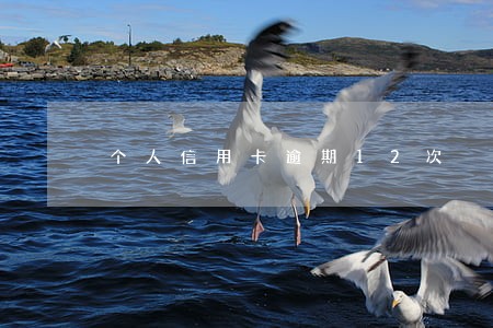 个人信用卡逾期12次