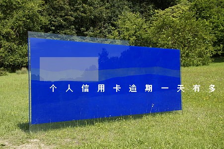 个人信用卡逾期一天有多少额度