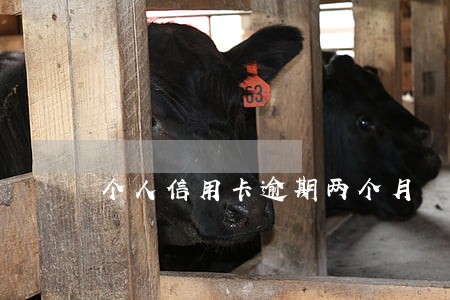 个人信用卡逾期两个月