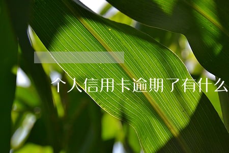 个人信用卡逾期了有什么影响