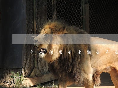 个人信用卡逾期会不会影响公司 个人信用卡逾期会不会影响公司