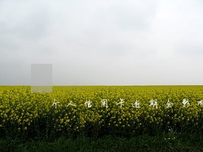 个人信用卡逾期会影响银行卡吗 个人信用卡逾期会影响银行卡吗