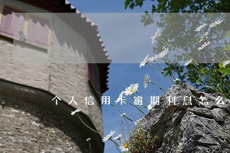 个人信用卡逾期利息怎么算的