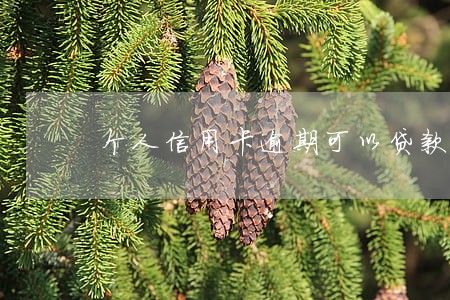 个人信用卡逾期可以贷款 个人信用卡逾期可以贷款