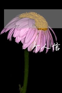 个人信用卡逾期多久拉黑名单