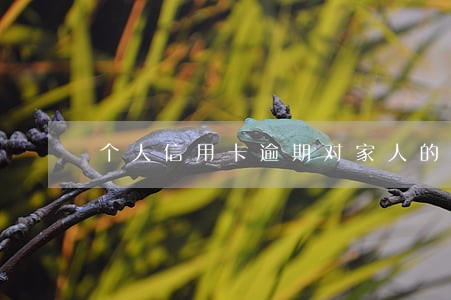 个人信用卡逾期对家人的影响 个人信用卡逾期对家人的影响