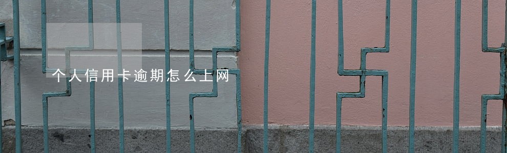 个人信用卡逾期怎么上网