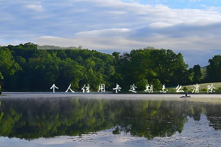 个人信用卡逾期怎么消除