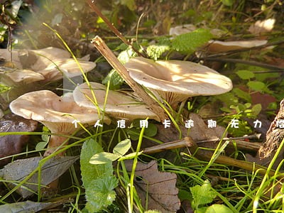 个人信用卡逾期无力偿还怎么办 个人信用卡逾期无力偿还怎么办