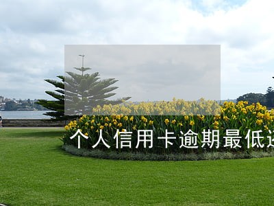个人信用卡逾期最低还款利息