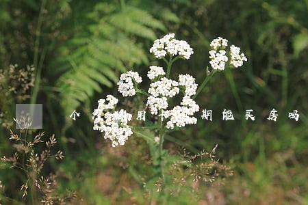 个人信用卡逾期能买房吗 个人信用卡逾期能买房吗