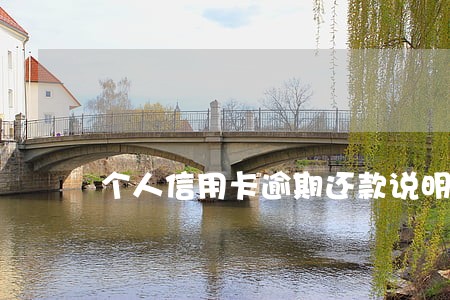 个人信用卡逾期还款说明书 个人信用卡逾期还款说明书