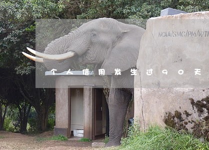 个人信用发生过90天以上逾期 个人信用发生过90天以上逾期