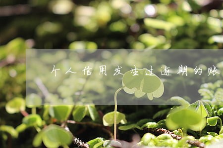 个人信用发生过逾期的账户数 个人信用发生过逾期的账户数