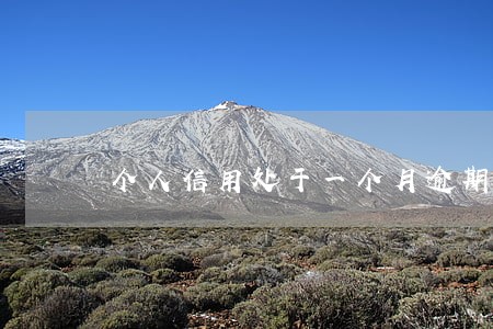 个人信用处于一个月逾期 个人信用处于一个月逾期