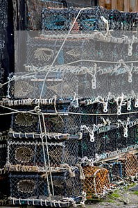 个人信用征信信用卡有逾期 个人信用征信信用卡有逾期