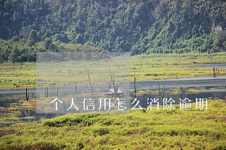 个人信用怎么消除逾期 个人信用怎么消除逾期