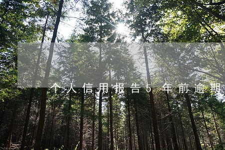 个人信用报告5年前逾期