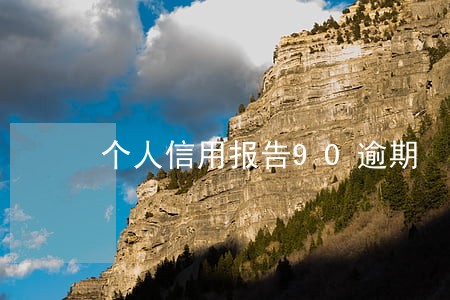 个人信用报告90逾期 个人信用报告90逾期