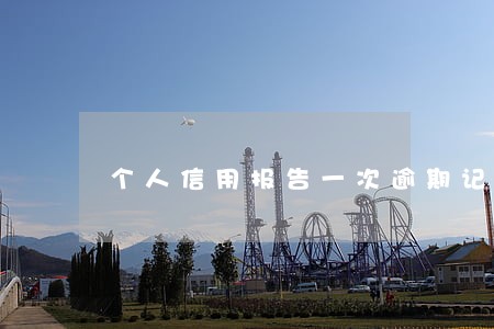 个人信用报告一次逾期记录 个人信用报告一次逾期记录
