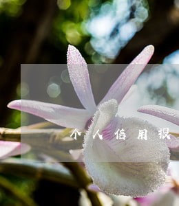 个人信用报告上的逾期多久会消失 个人信用报告上的逾期多久会消失