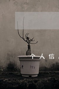 个人信用报告严重逾期 个人信用报告严重逾期