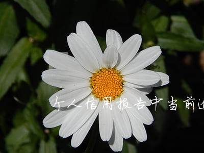 个人信用报告中当前逾期数是指
