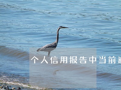 个人信用报告中当前逾期次数
