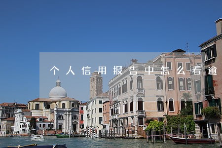 个人信用报告中怎么看逾期