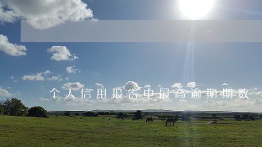 个人信用报告中最高逾期期数 个人信用报告中最高逾期期数