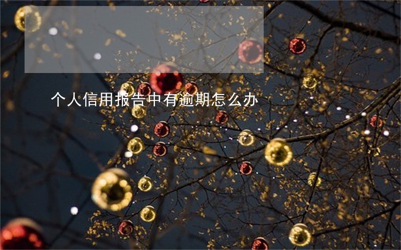 个人信用报告中有逾期怎么办 个人信用报告中有逾期怎么办