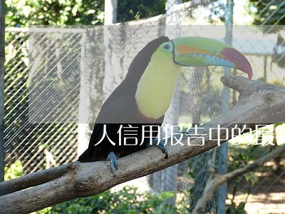 个人信用报告中的最高逾期期数 个人信用报告中的最高逾期期数
